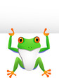 Vector: frog with blank sign frog with blank sign