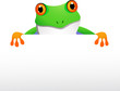Vector: frog with blank sign frog with blank sign