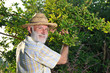 Photo: a farmer man in his garden a farmer man in his garden