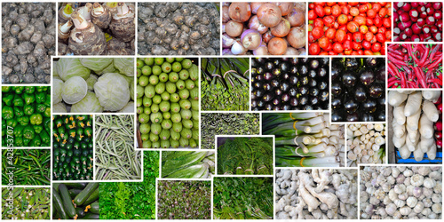 Foto: Fresh Vegetables Collections with white lines between it Fresh Vegetables Collections with white lines between it