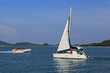Катамаран в море. Catamaran at sea.
