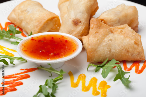 Photo: Spring Rolls with sauce on the plate Spring Rolls with sauce on the plate