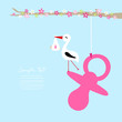 Stork Baby Girl On Pink Pacifier Tree Flowers