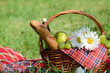 Picnic basket