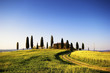 villa con cipressi, toscana, Italia