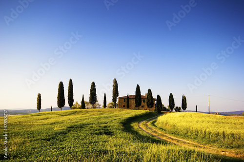 Photo: villa con cipressi, toscana, Italia villa con cipressi, toscana, Italia