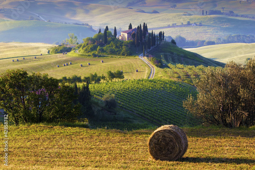 Photo: Paesaggio toscano. Podere, campo di grano Paesaggio toscano. Podere, campo di grano