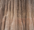 Soil structure