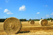 Foto: Landwirtschaft 14 Landwirtschaft 14
