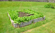 Photo: Raised Garden beds Raised Garden beds