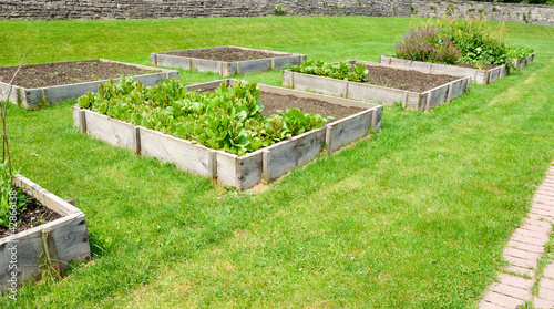 Photo: Raised Garden beds Raised Garden beds