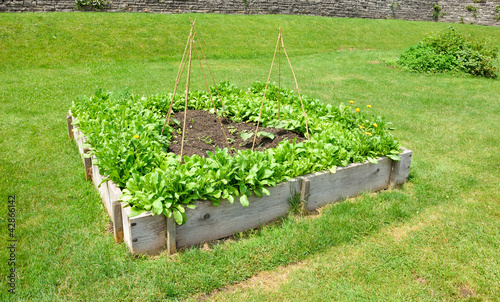 Photo: Raised Garden beds Raised Garden beds