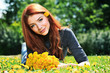 Foto: meadow flowers meadow flowers
