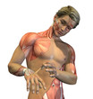 Anatomy Revealed