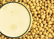 soymilk with soybeans