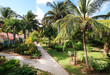Area of hotel Sol Cayo Guillermo.