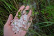 Hagelunwetter