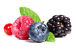 Berry fruits on a white background