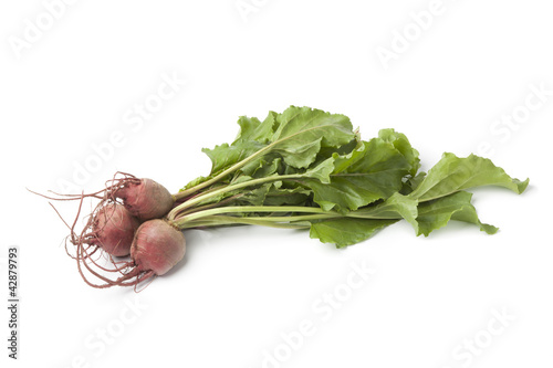 Photo: Fresh raw Chioggia beets Fresh raw Chioggia beets