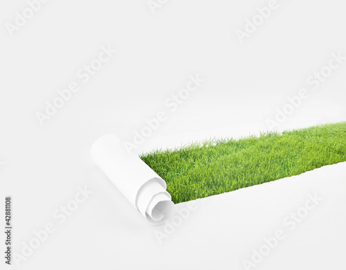 Photo: paper paper