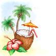 Photo: Watercolor illustration of coconut cocktail Watercolor illustration of coconut cocktail