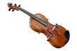 violoncello
