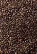 Kaffeebohnen