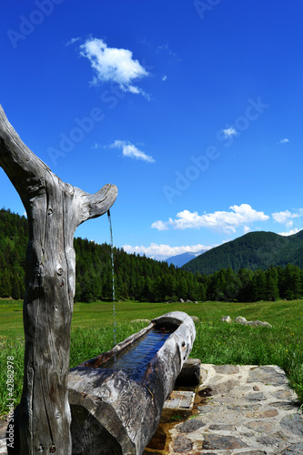 Photo: fontana di montagna fontana di montagna