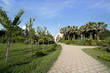 Foto: Beautiful view of tropical garden Beautiful view of tropical garden