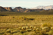 The Superstition Mountains