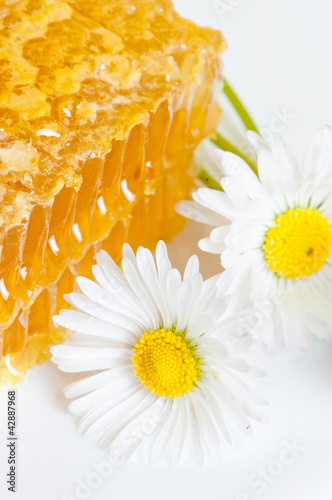 Foto: honeycomb with daisies on white plate honeycomb with daisies on white plate