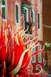 Murano - Venezia