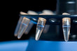 Foto: molecular biology molecular biology