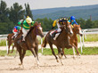 Horse racing.