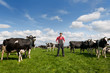 farmer in field with cows