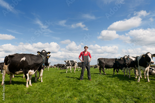 Photo: farmer in field with cows farmer in field with cows