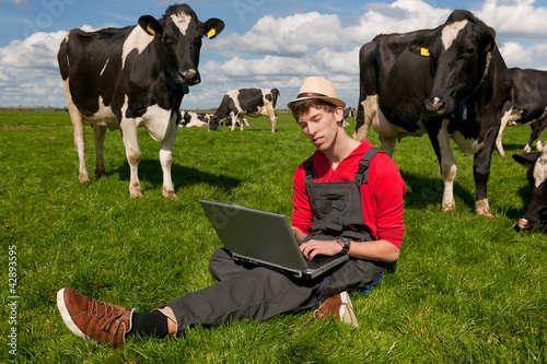 Photo: Young farmer with laptop in field with cows Young farmer with laptop in field with cows