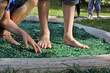 Foto: Barfuß-Park, Sinnespark, barefoot trail Barfuß-Park, Sinnespark, barefoot trail