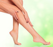 Attractive female legs