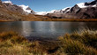 Lac Stellisee - Suisse - Oil Painting