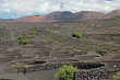 Weinanbaugebiet La Geria, Lanzarote, Spanien