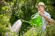 Watering flowers in  the garden