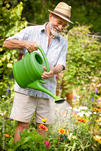 Foto: Watering flowers in the garden Watering flowers in the garden