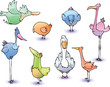 The set of the funny cartoon vector birds.