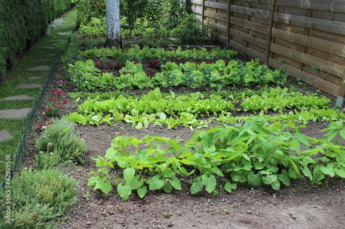 Photo: Petit jardin de ville Petit jardin de ville