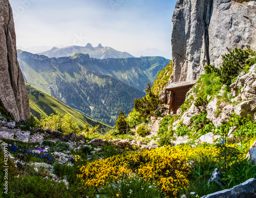 Photo: Alpine Garden Alpine Garden