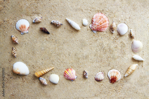 Foto: Muschelrahmen Muschelrahmen