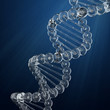 Illustration: DNA DNA