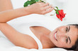 Portrait of a brunette lying on her back while holding a rose