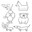 Vector: Coloring book with cartoon dogs Coloring book with cartoon dogs